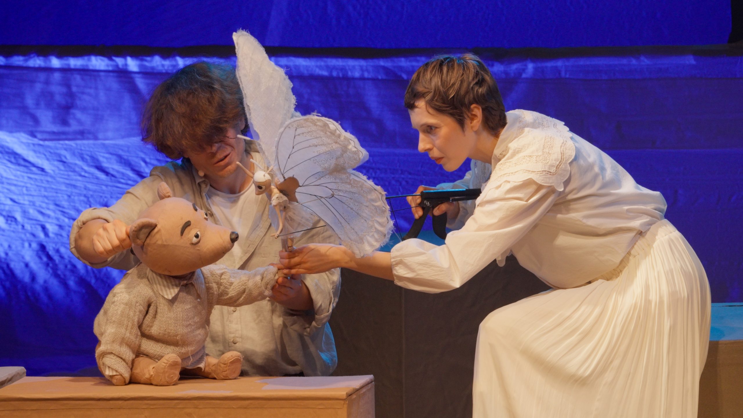 „Niedźwiedź łowca motyli” Teatr Animacji