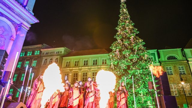 Miejska choinka rozbłysła tysiącem świateł