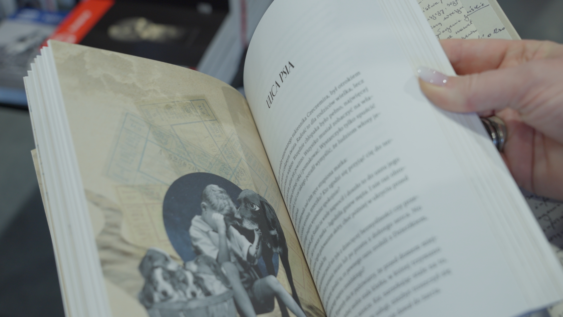 Poznańskie Targi Książki 2026