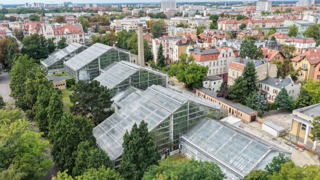 Rusza przebudowa Palmiarni Poznańskiej